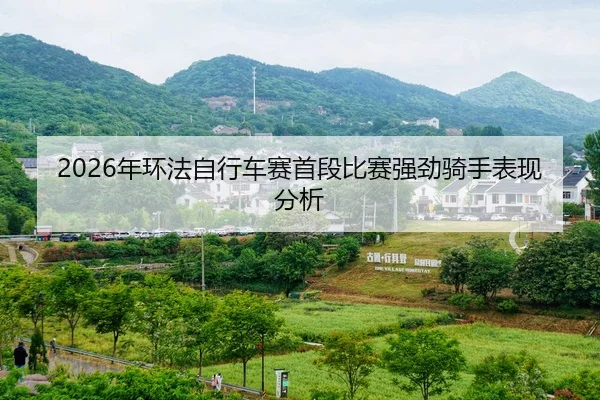 nian-huan-fa-zi-xing-che-sai-shou-duan-bi-sai-qiang-jing-qi-shou-biao-xian-fen-xi-2-325.jpg